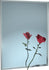 ASI 0620 | American Specialties 20" x 60" Channel Frame Plate Glass Mirror